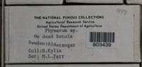 Image Associated With the Occurence